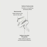 Niacinamide Cleansing Gelée 3% L6